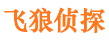 元宝市婚外情调查